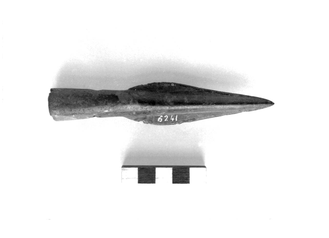 punta di lancia - fase Piceno II (sec. VIII a.C)