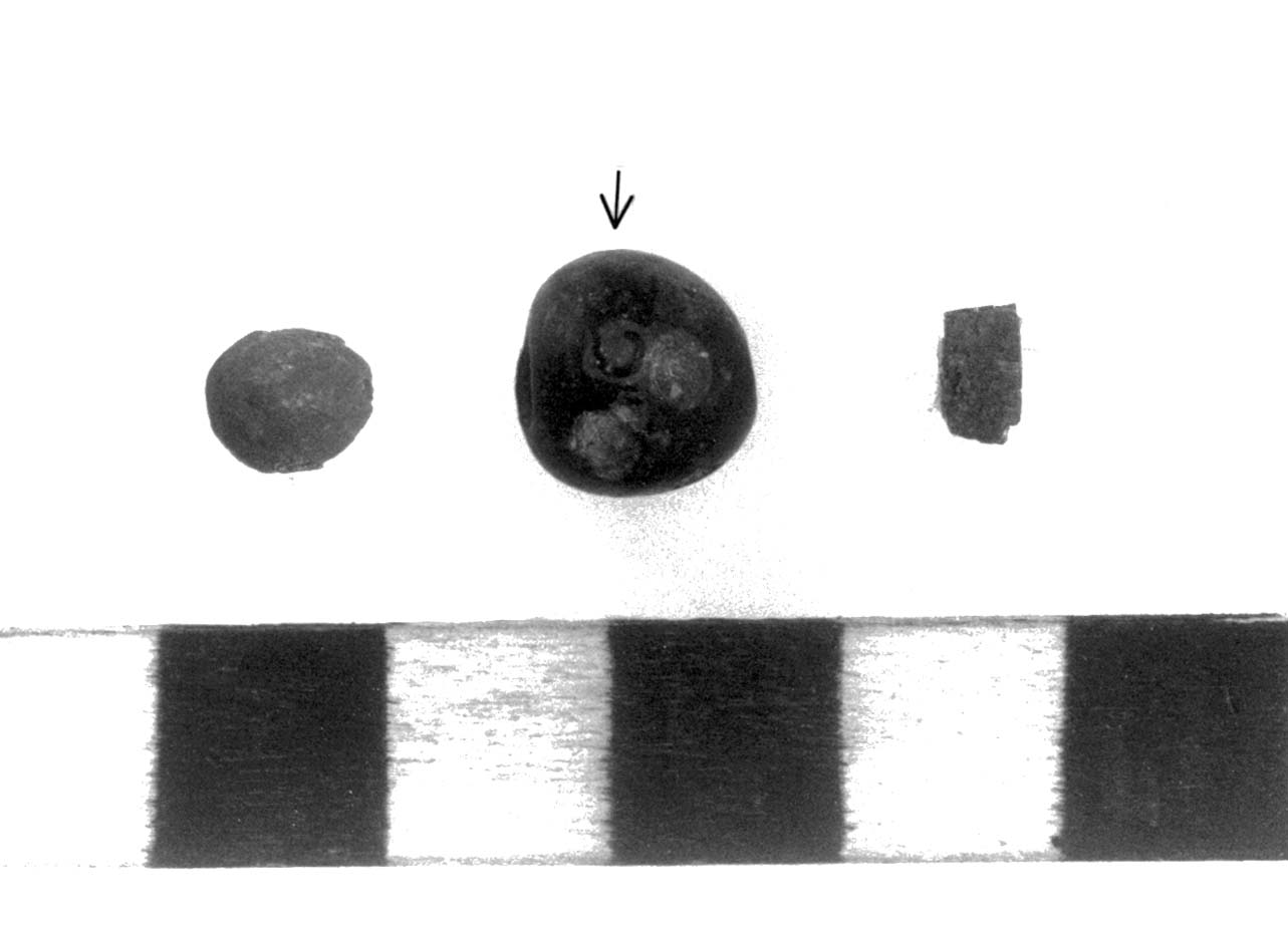 vago - fase Piceno II (sec. VIII a.C)