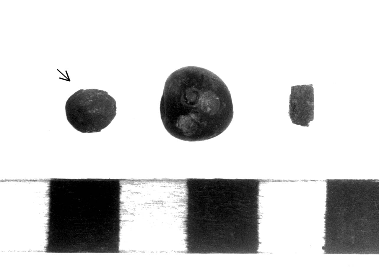 bottone - fase Piceno II (sec. VIII a.C)