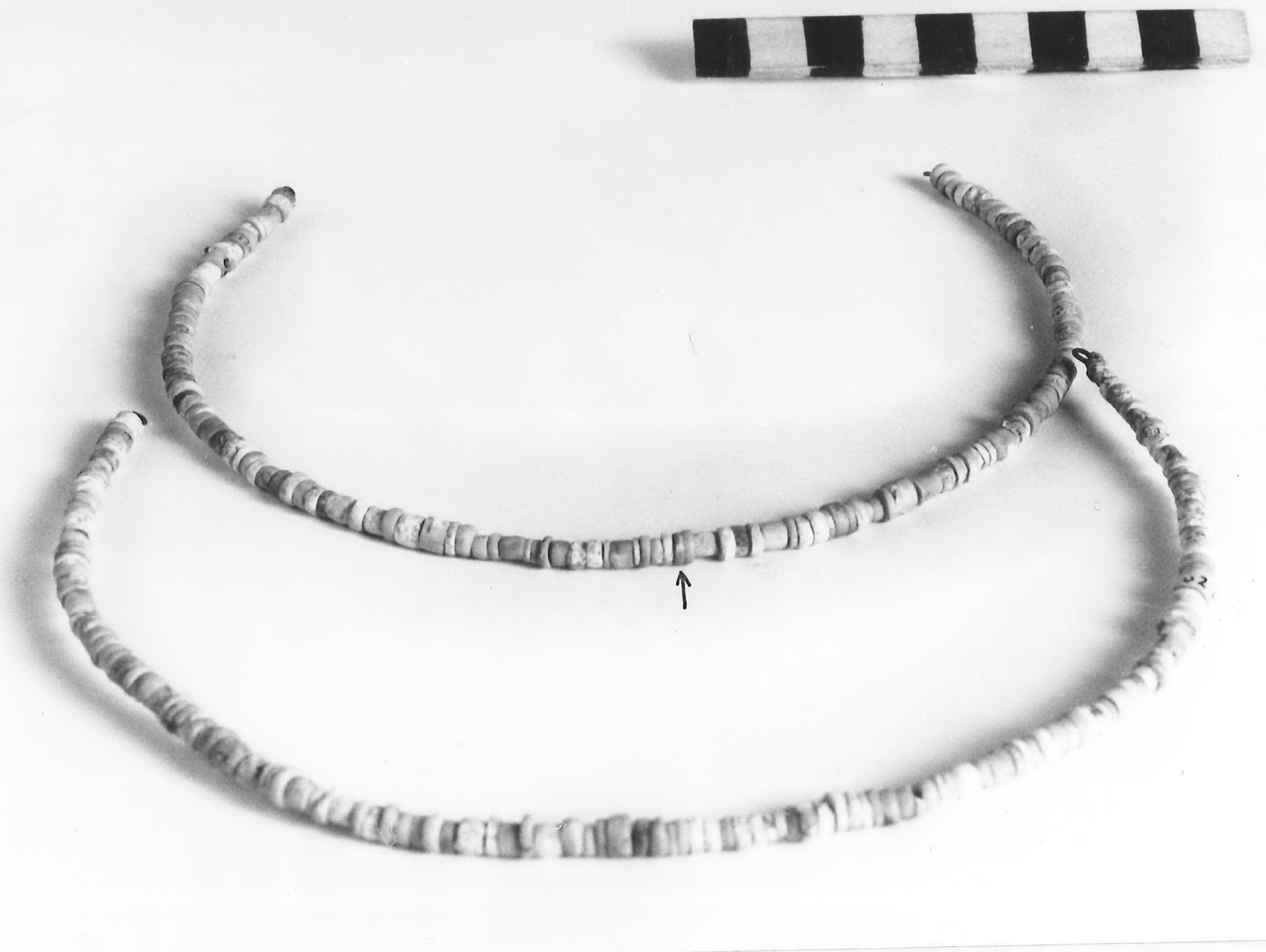 vago - fase Piceno II (sec. VIII a.C)