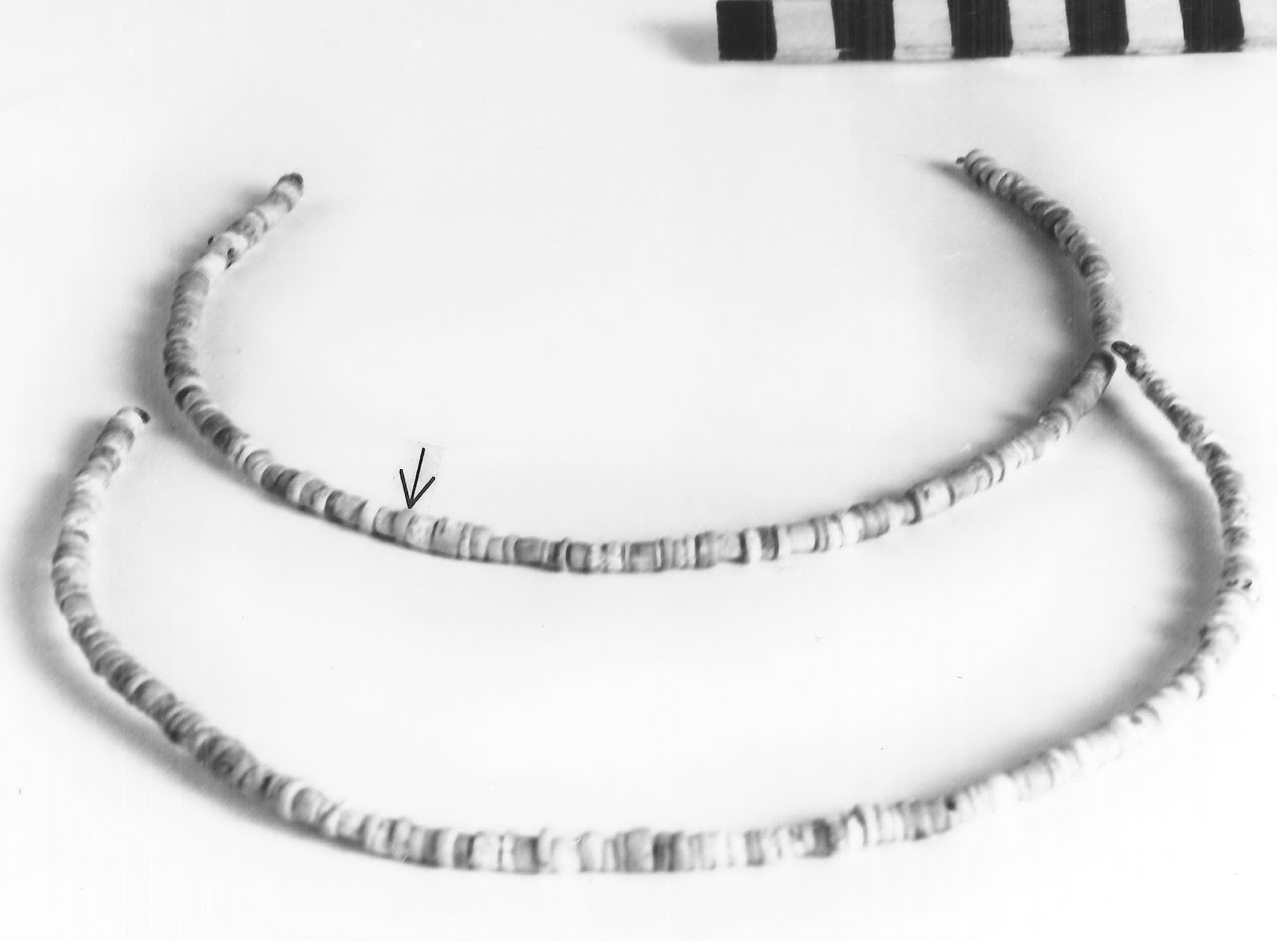 vago - fase Piceno II (sec. VIII a.C)