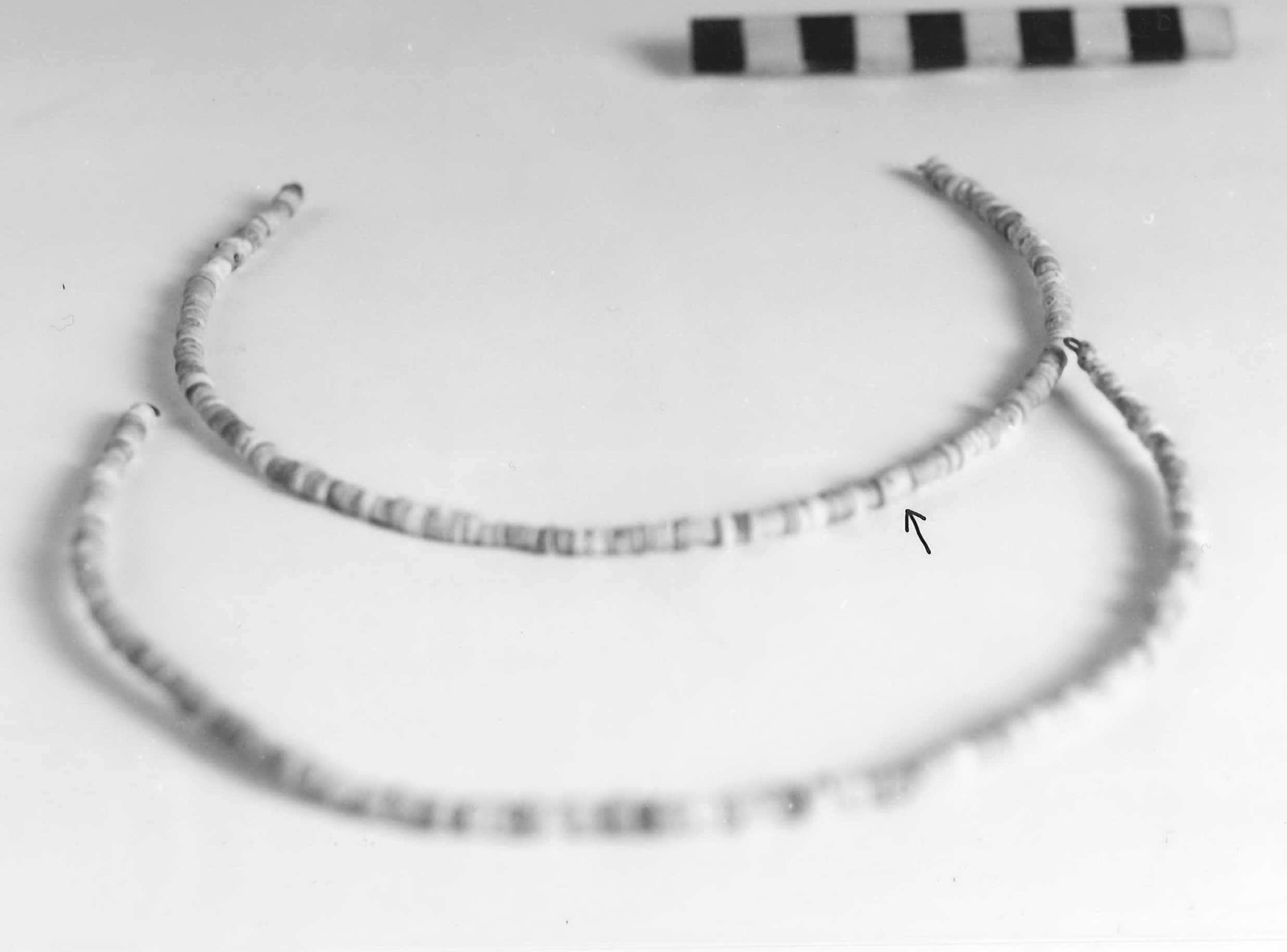 vago - fase Piceno II (sec. VIII a.C)