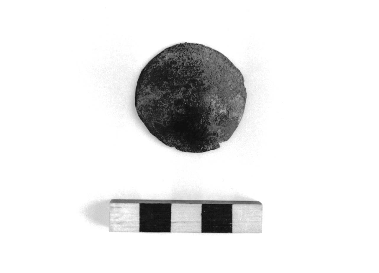 borchia - fase Piceno II (sec. VIII a.C)