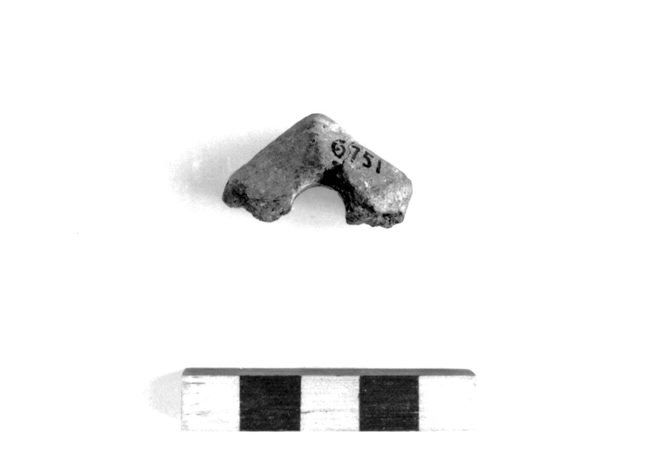 fuseruola - fase Piceno II (sec. VIII a.C)