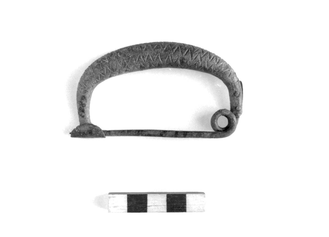 fibula ad arco ingrossato, Sundwall B II ab - fase Piceno II (inizio sec. VIII a.C)