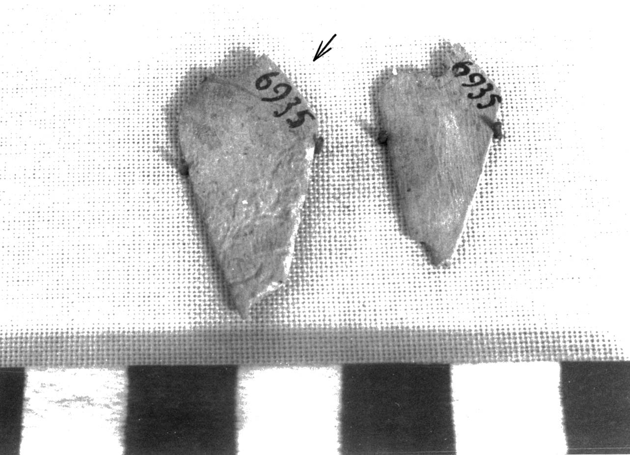 pendaglio - fase Piceno II (sec. VIII a.C)