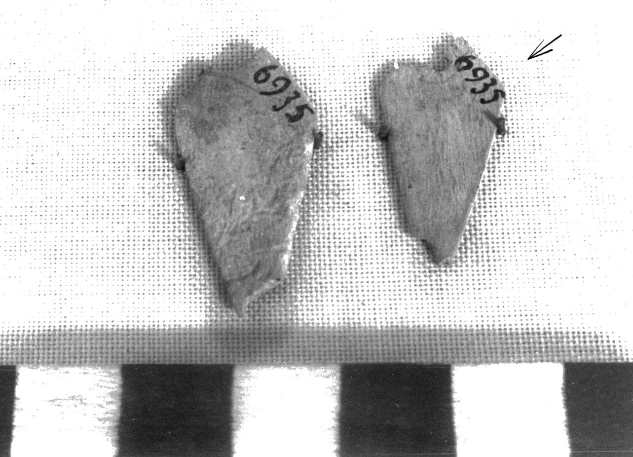 pendaglio - fase Piceno II (sec. VIII a.C)