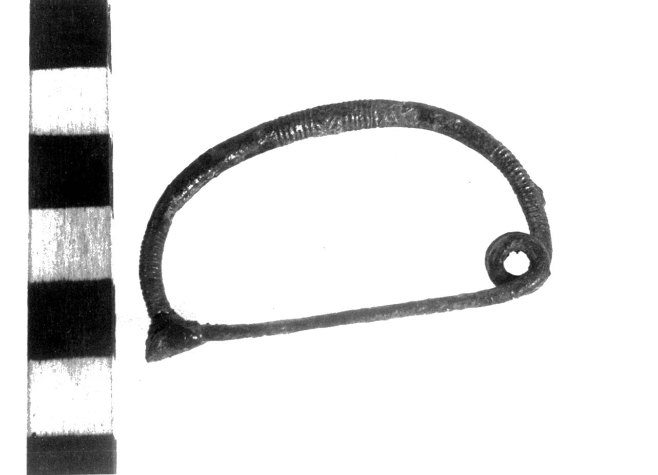 fibula ad arco ingrossato, Sundwall B II ab - fase Piceno II (sec. VIII a.C)
