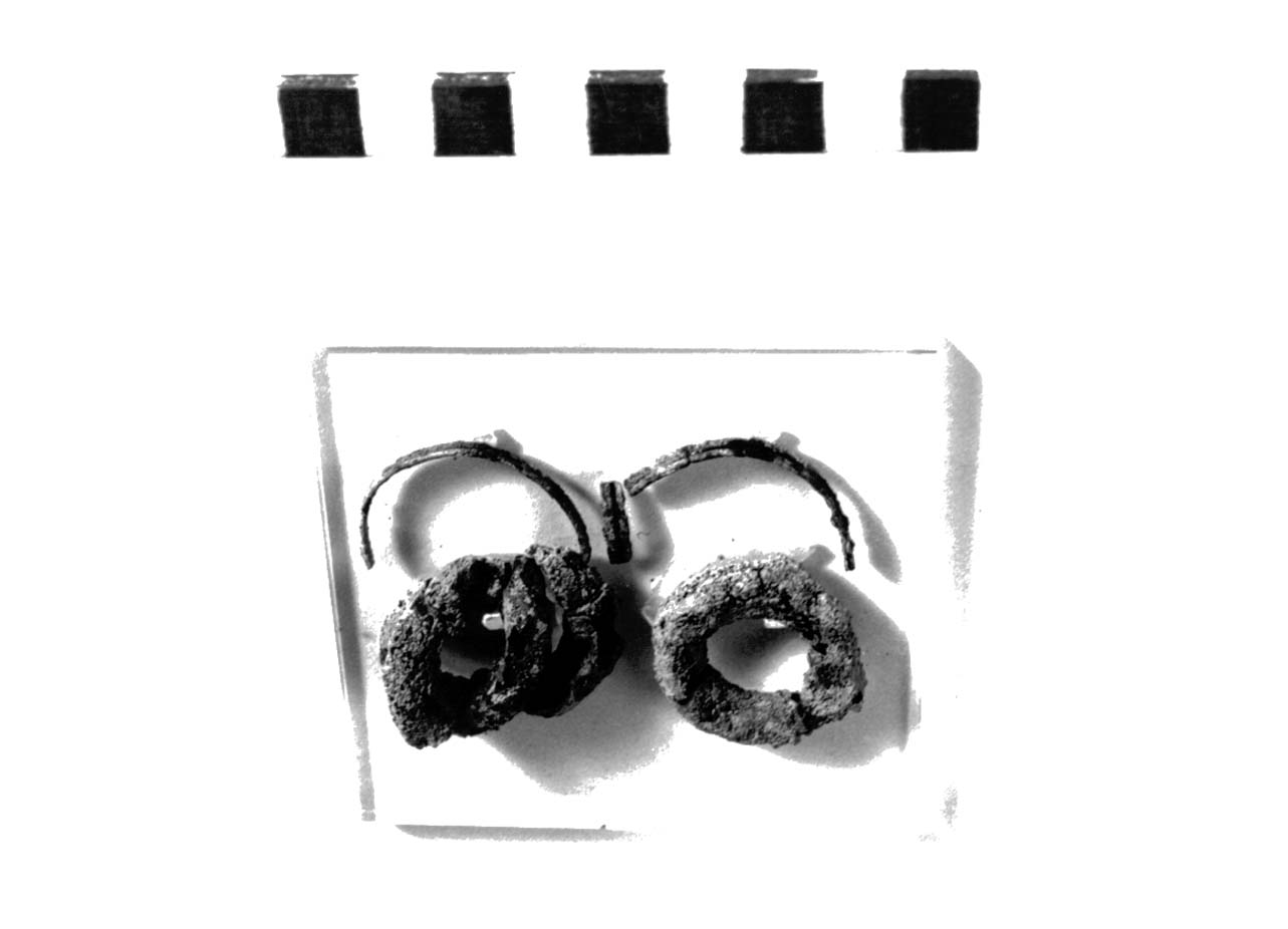 orecchino - fase Piceno II (sec. VIII a.C)