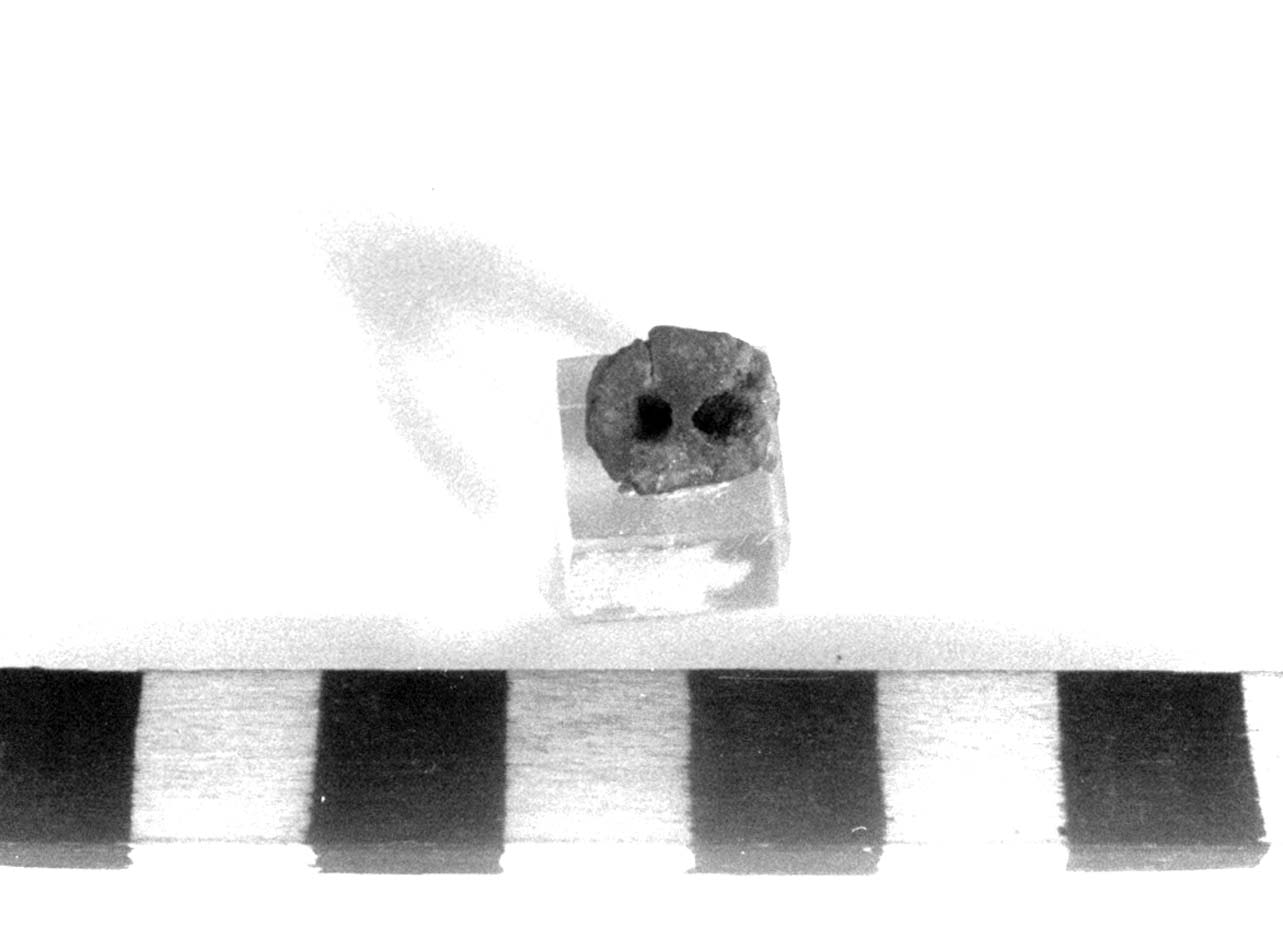 bottone - fase Piceno II (sec. VIII a.C)