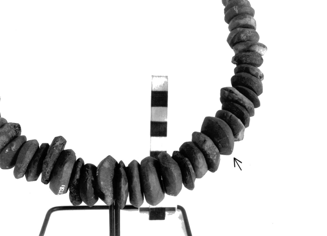 vago - fase Piceno II (sec. VIII a.C)