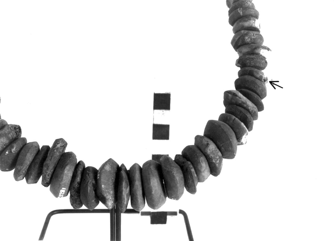 vago - fase Piceno II (sec. VIII a.C)