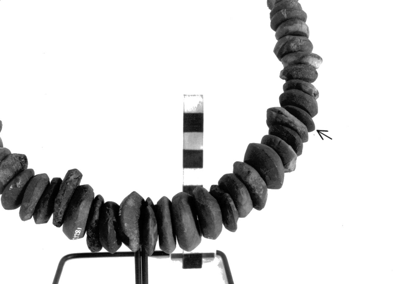 vago - fase Piceno II (sec. VIII a.C)