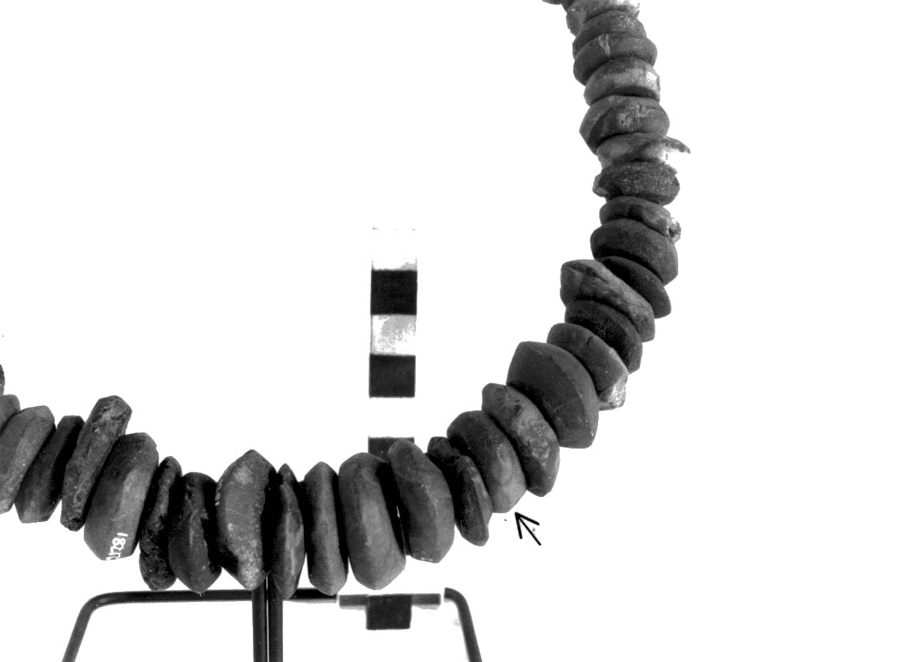 vago - fase Piceno II (sec. VIII a.C)