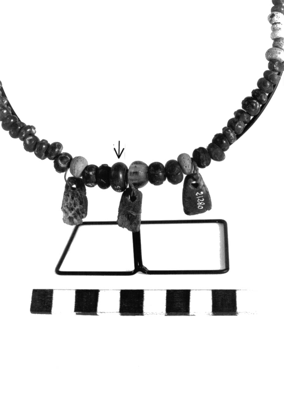 vago - fase Piceno II (sec. VIII a.C)