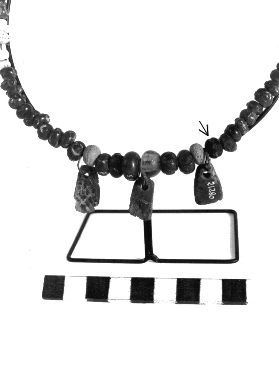 vago - fase Piceno II (sec. VIII a.C)