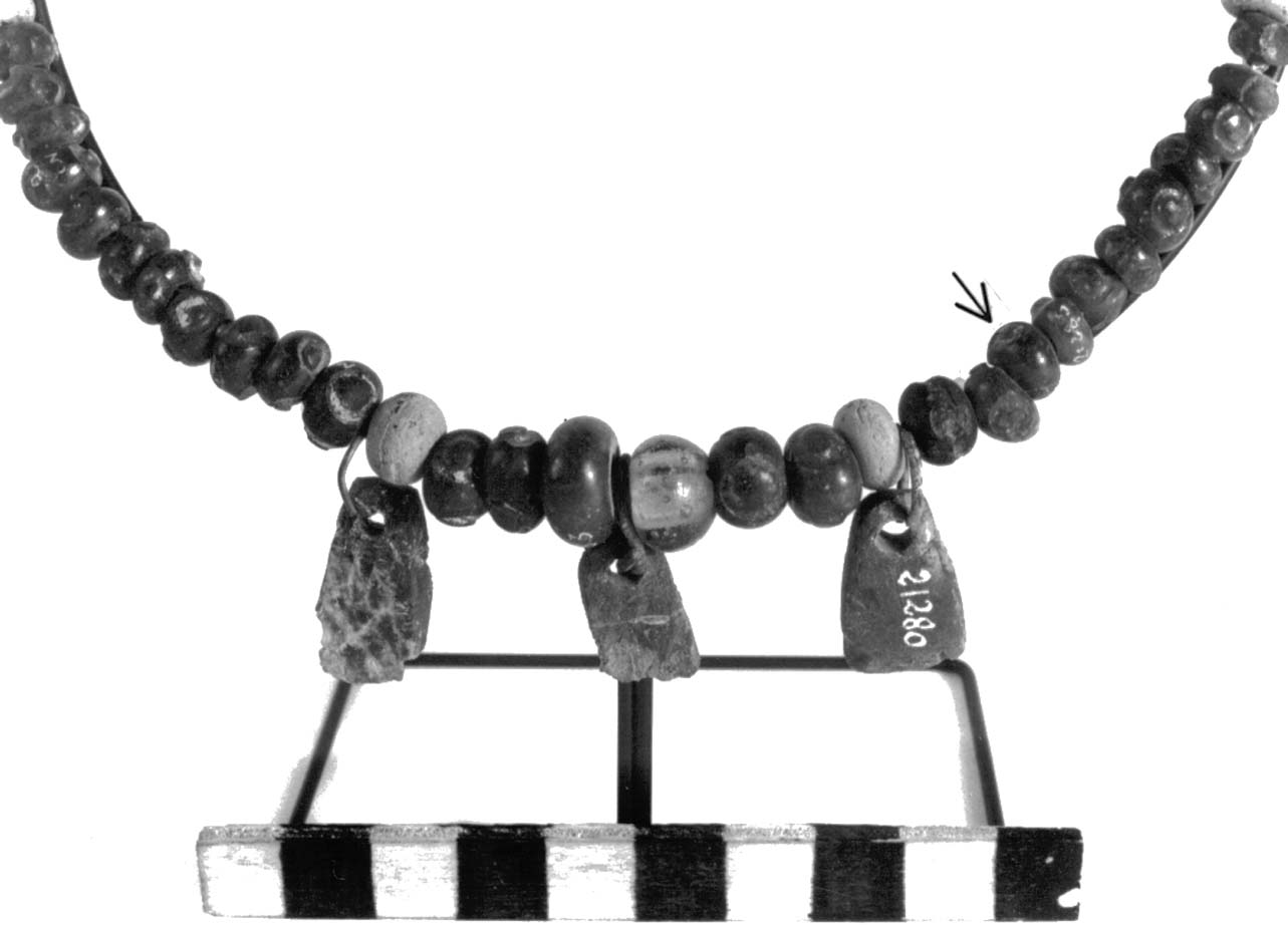 vago - fase Piceno II (sec. VIII a.C)