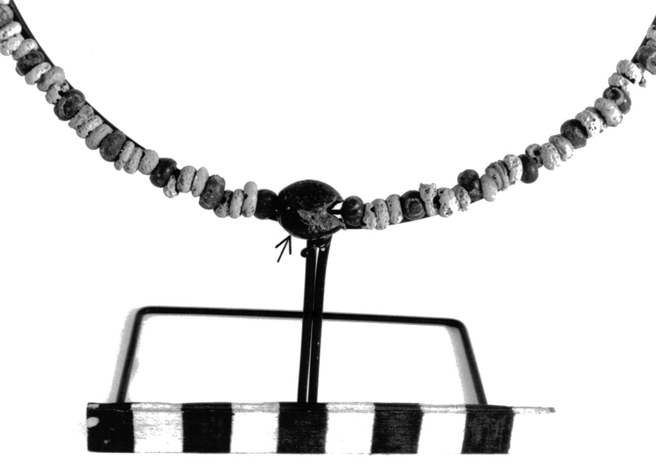 vago - fase Piceno II (sec. VIII a.C)