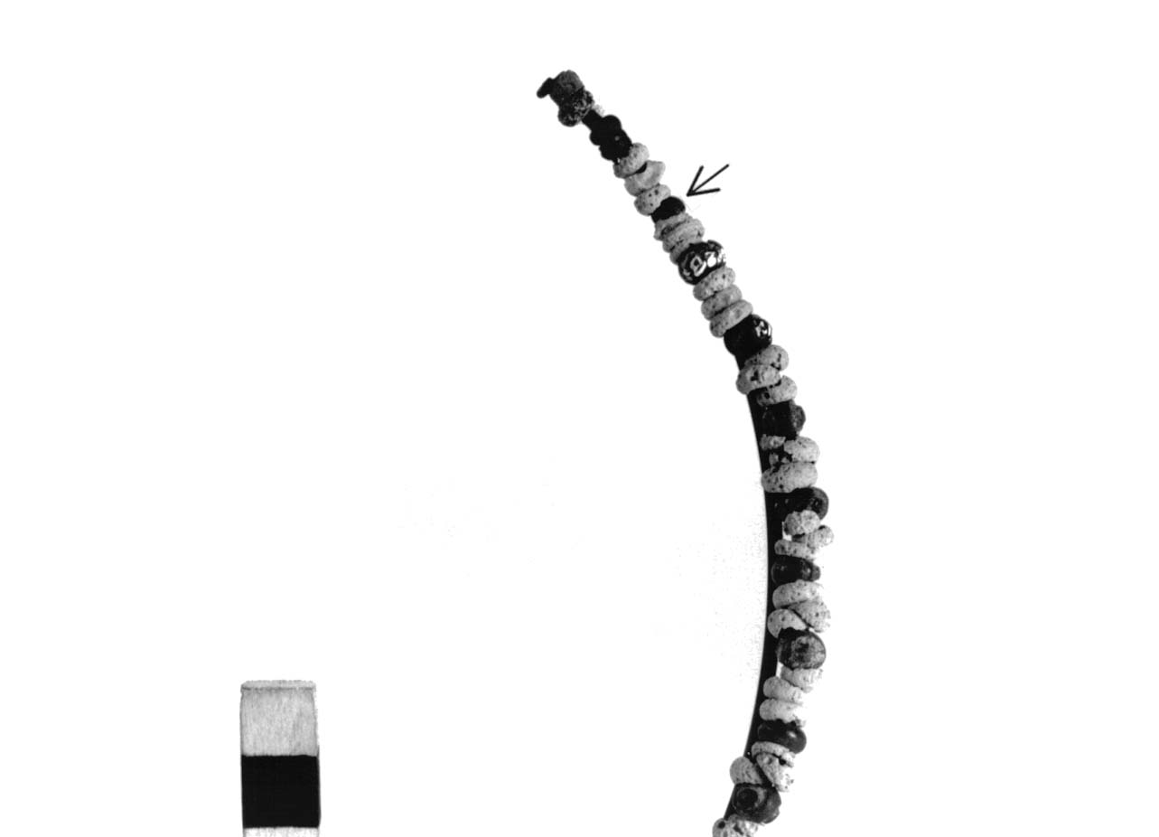 vago - fase Piceno II (sec. VIII a.C)