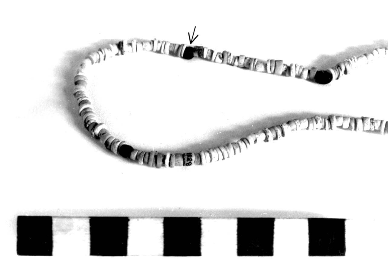 vago - fase Piceno II (sec. VIII a.C)