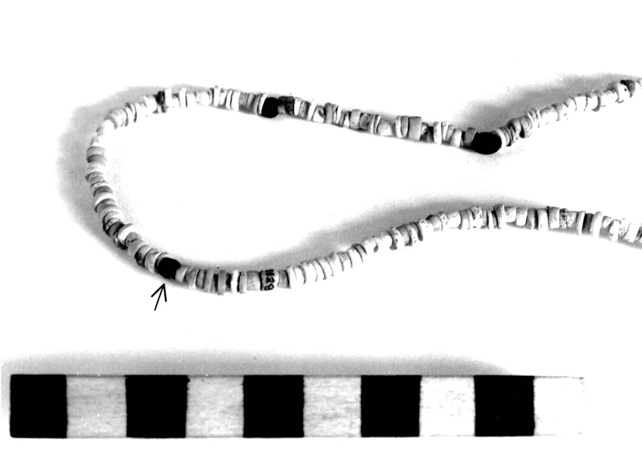 vago - fase Piceno II (sec. VIII a.C)