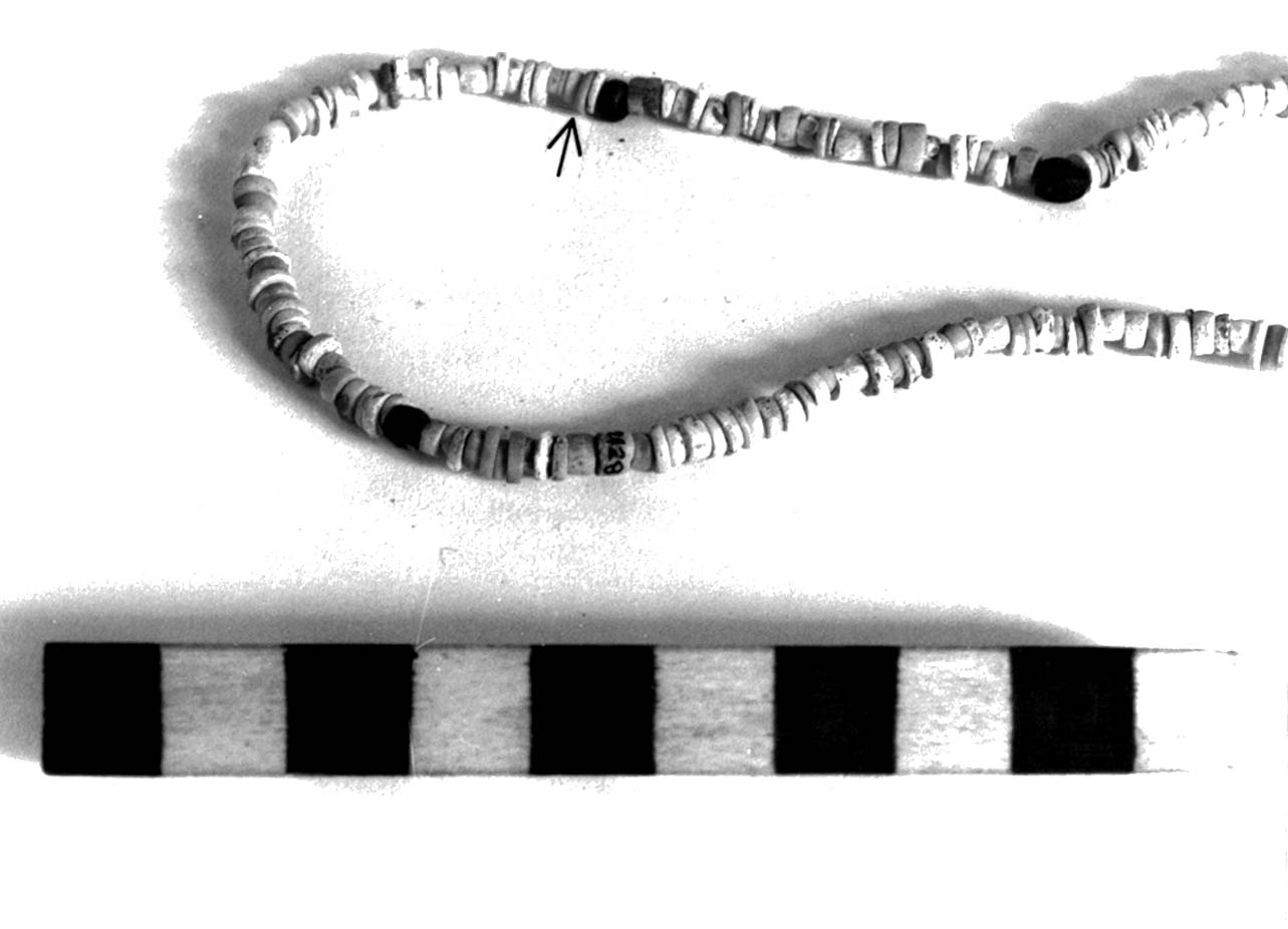 vago - fase Piceno II (sec. VIII a.C)