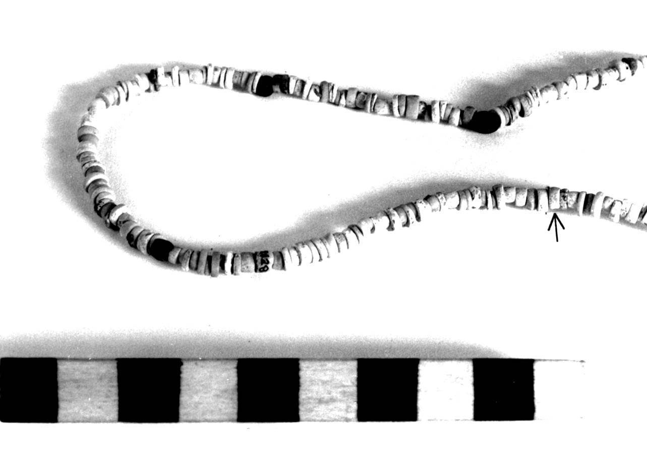 vago - fase Piceno II (sec. VIII a.C)