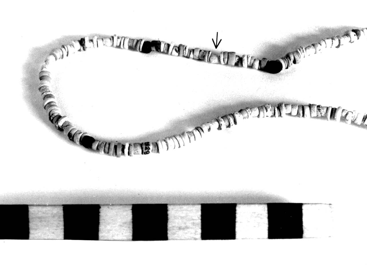 vago - fase Piceno II (sec. VIII a.C)