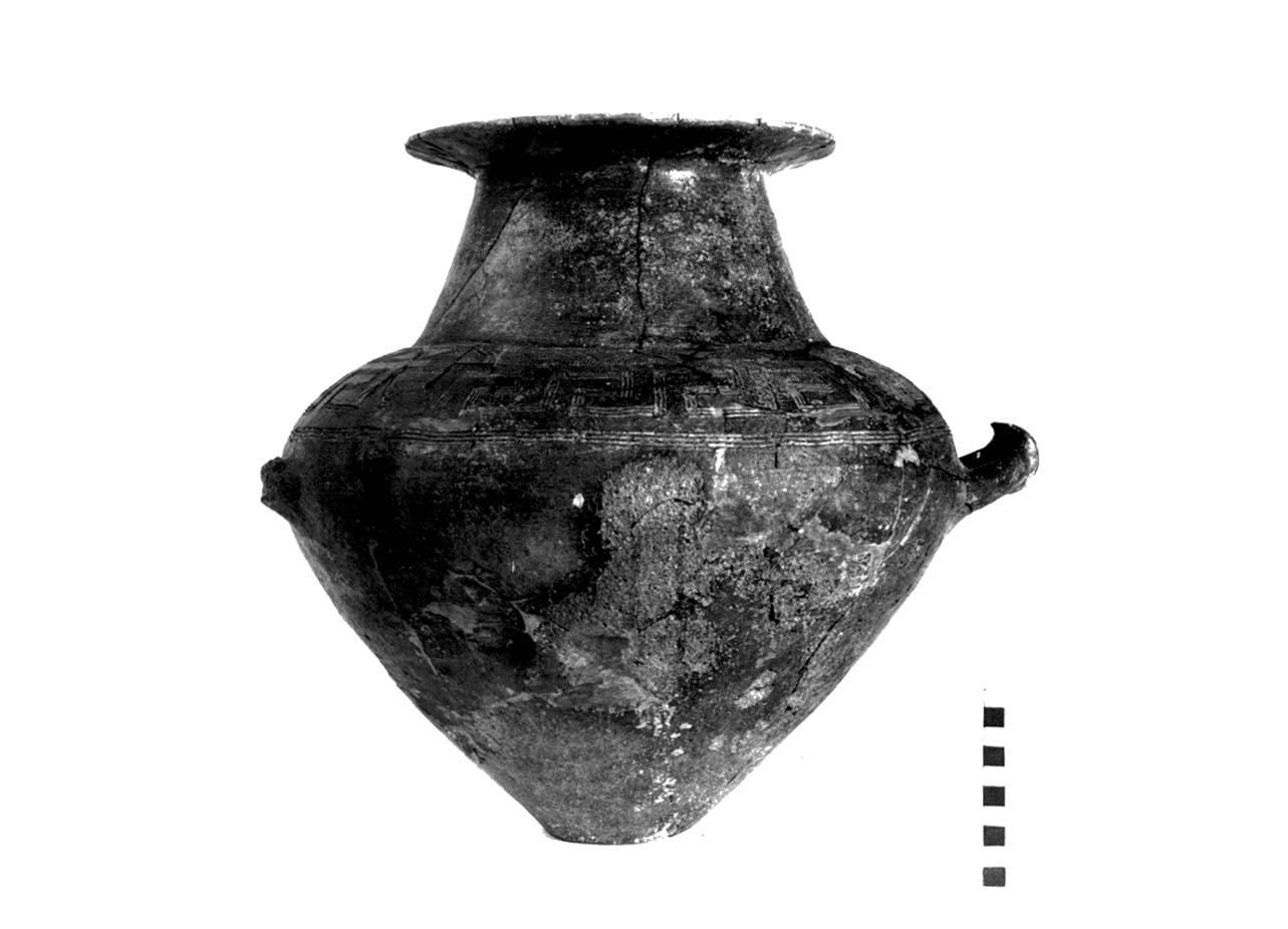 vaso a collo troncoconico distinto - fase Piceno I (prima metà sec. IX a.C)