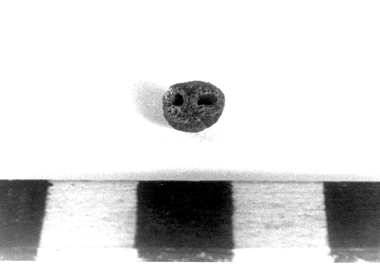 bottone - fase Piceno II (sec. VIII a.C)