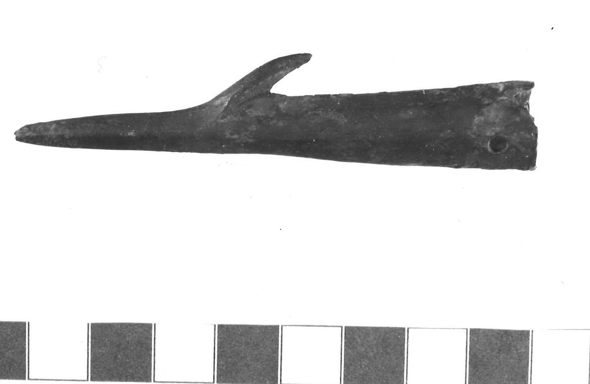 arpione - Piceno III (metà sec. VII a.C)