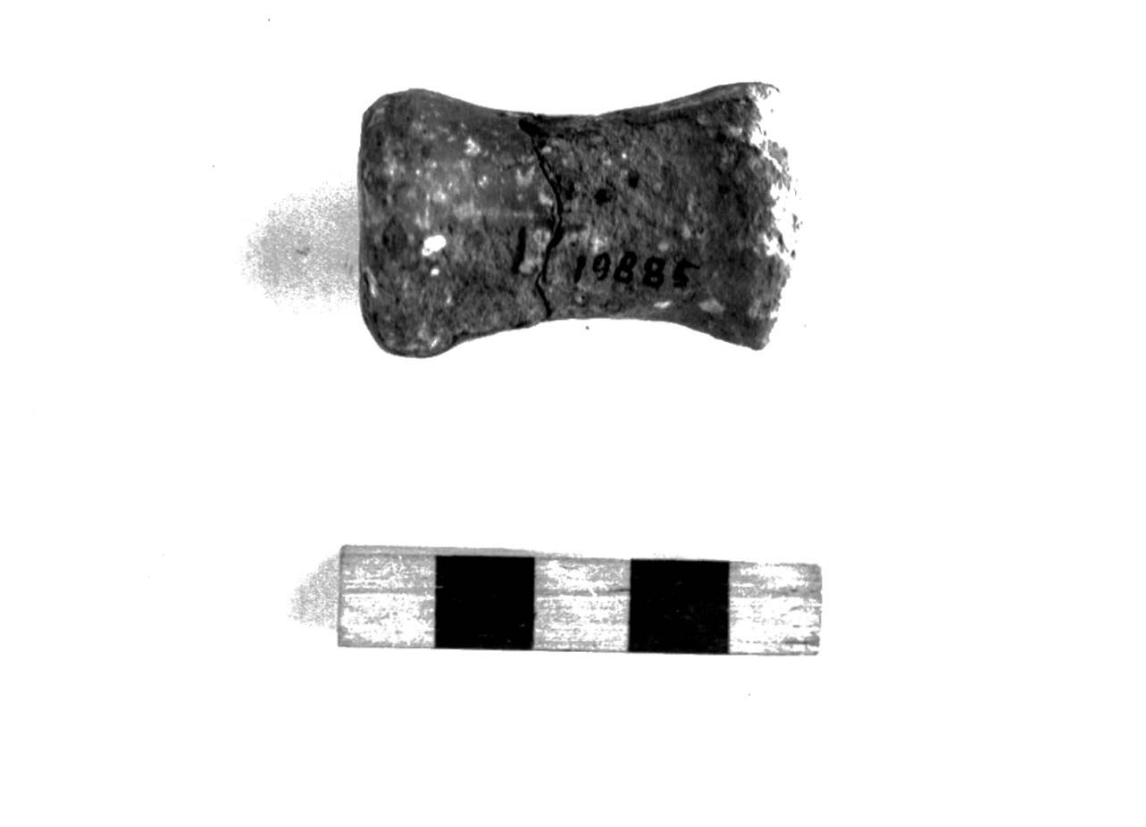 rocchetto - civiltà villanoviana-fase II (sec. VIII a.C)