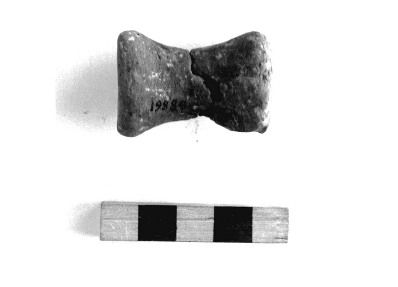 rocchetto - civiltà villanoviana-fase II (sec. VIII a.C)