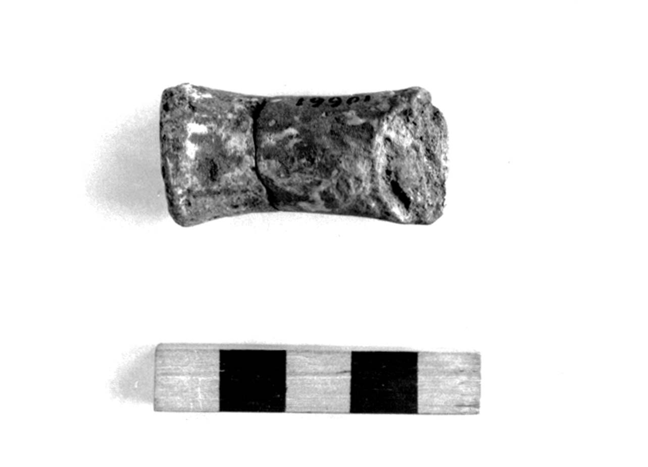 rocchetto - civiltà villanoviana-fase II (sec. VIII a.C)