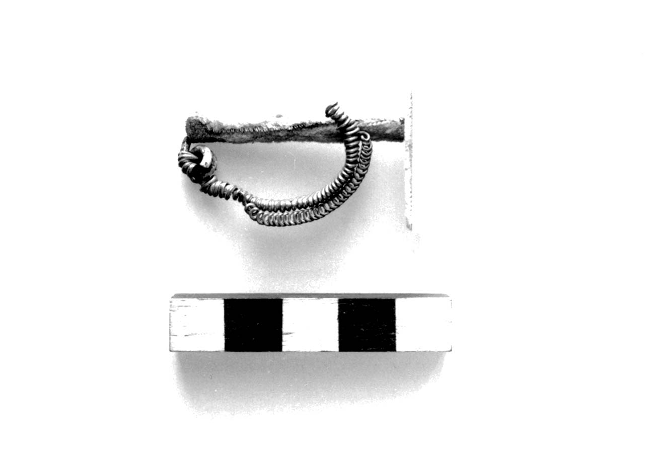fibula ad arco ribassato - civiltà villanoviana-fase II (sec. VIII a.C)