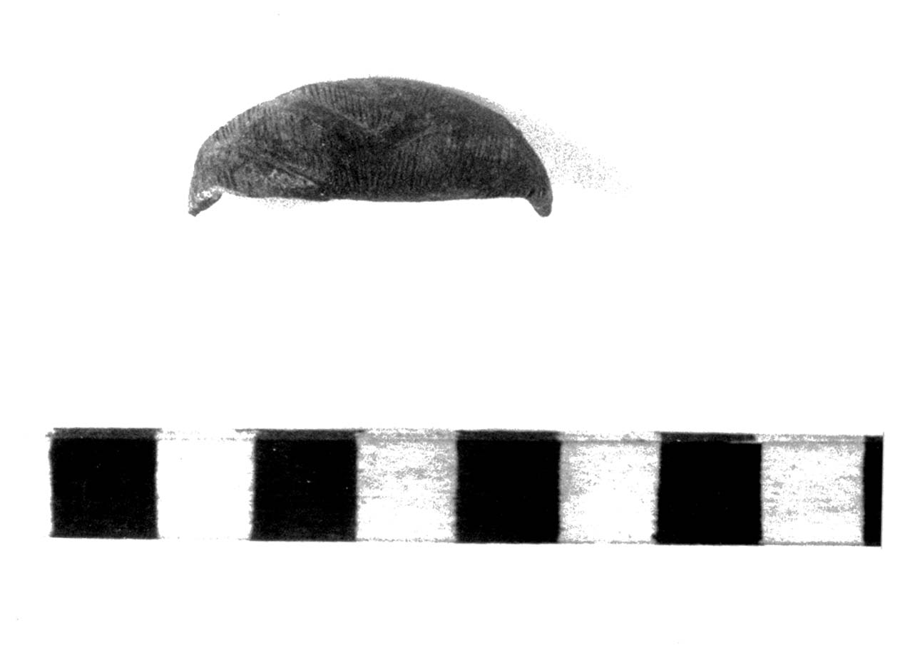 fibula ad arco ribassato - civiltà villanoviana-fase II (seconda metà sec. VIII a.C)