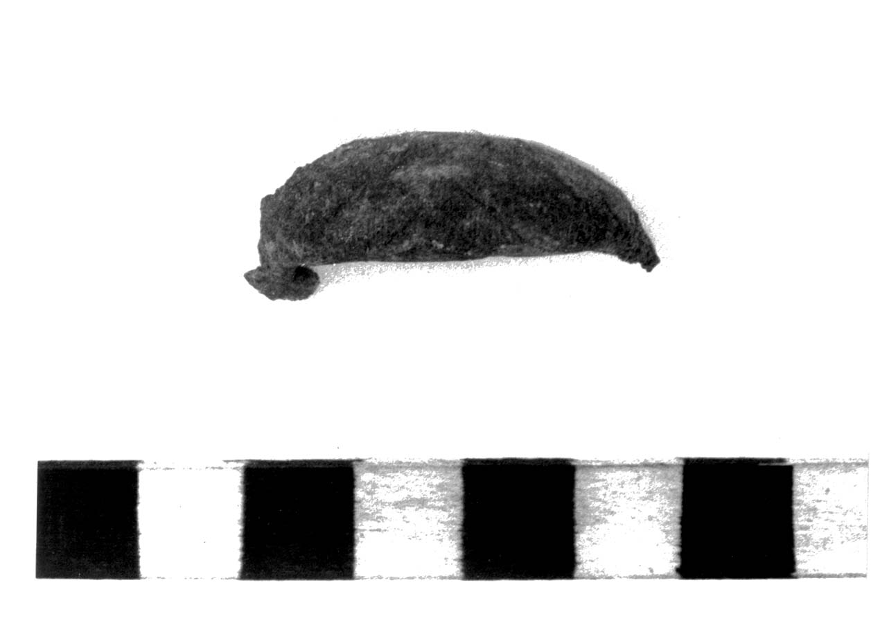 fibula ad arco ribassato - civiltà villanoviana-fase II (seconda metà sec. VIII a.C)