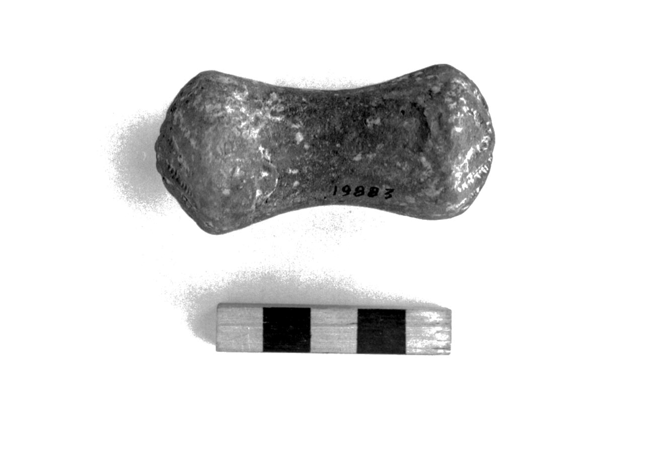 rocchetto - civiltà villanoviana-fase II (sec. VIII a.C)