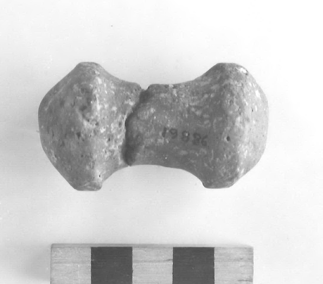 rocchetto - civiltà villanoviana-fase II (sec. VIII a.C)