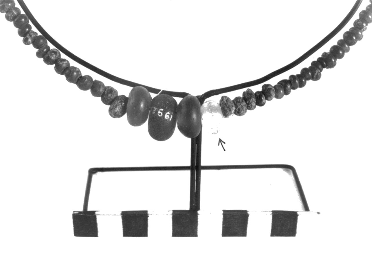 vago - civiltà villanoviana-fase II (sec. VIII a.C)
