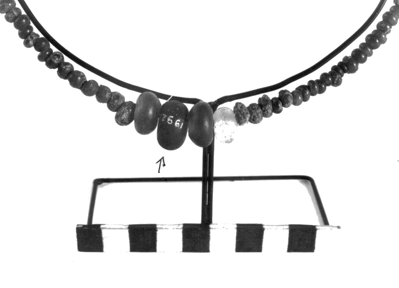 vago - civiltà villanoviana-fase II (sec. VIII a.C)