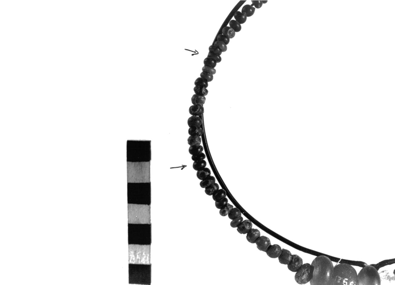 vago - civiltà villanoviana-fase II (sec. VIII a.C)