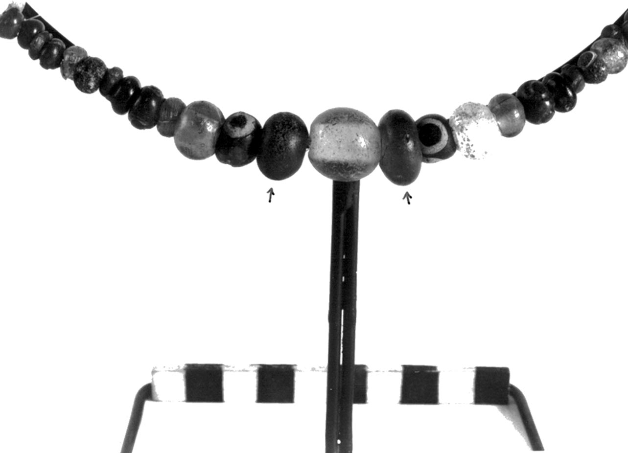 vago - civiltà villanoviana-fase II (sec. VIII a.C)