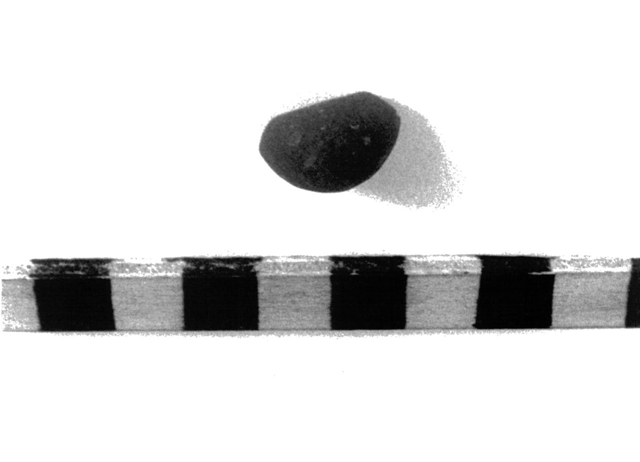 fibula ad arco rivestito - civiltà villanoviana-fase II (sec. VIII a.C)