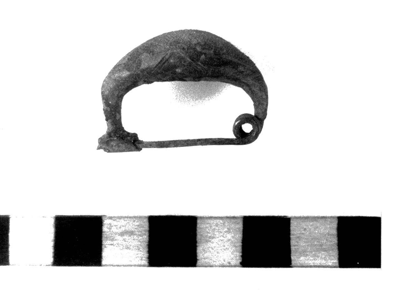 fibula ad arco ingrossato - civiltà villanoviana-fase II (prima metà sec. VIII a.C)