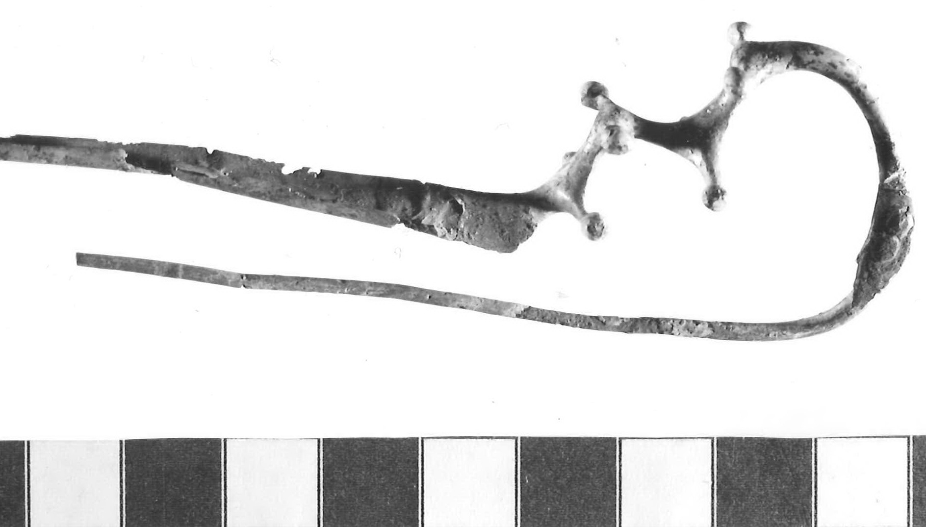 fibula a drago - Piceno III (sec. VII a.C)