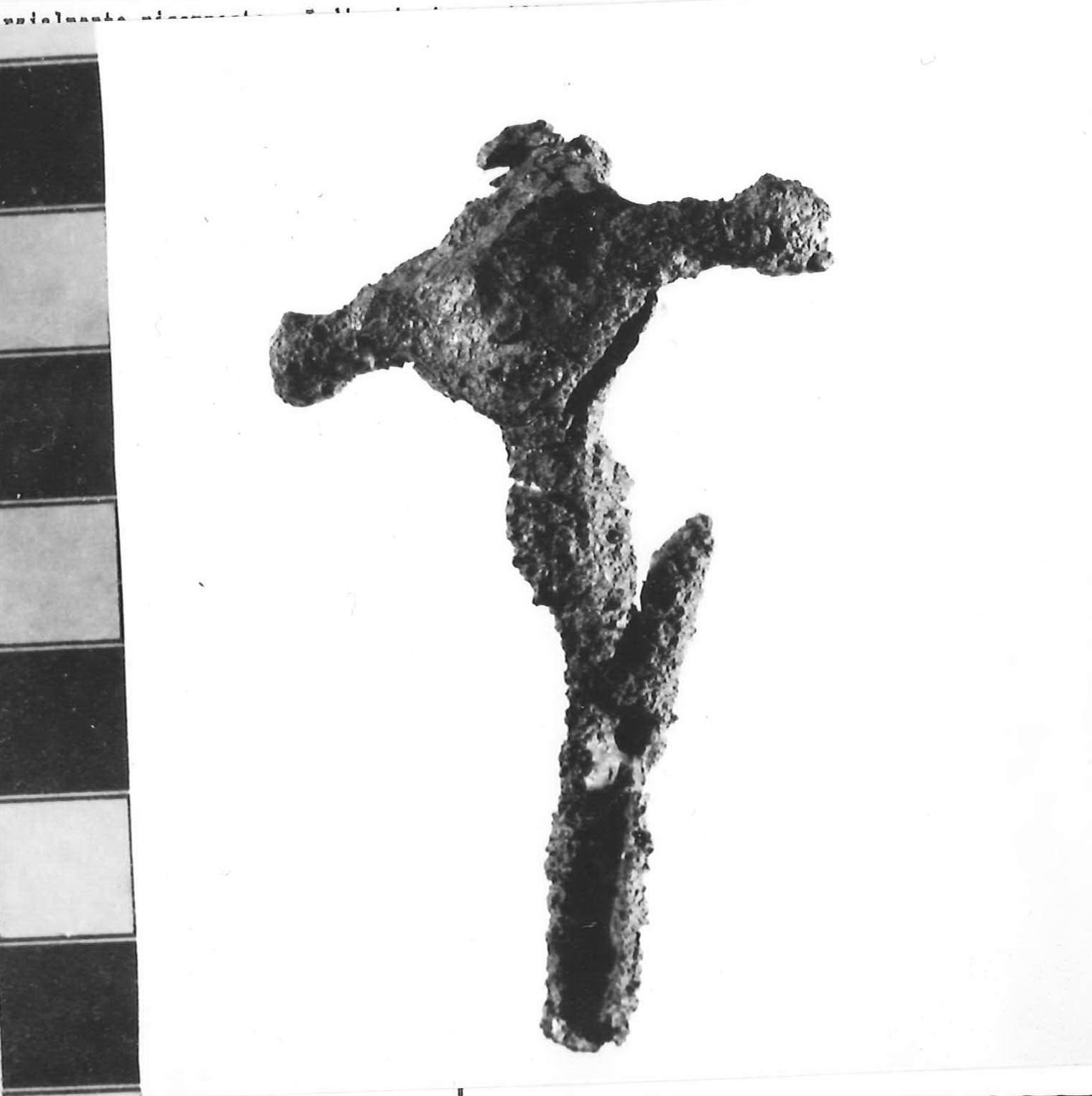 fibula con arco a losanga con bottoni laterali - Piceno III (sec. VII a.C)