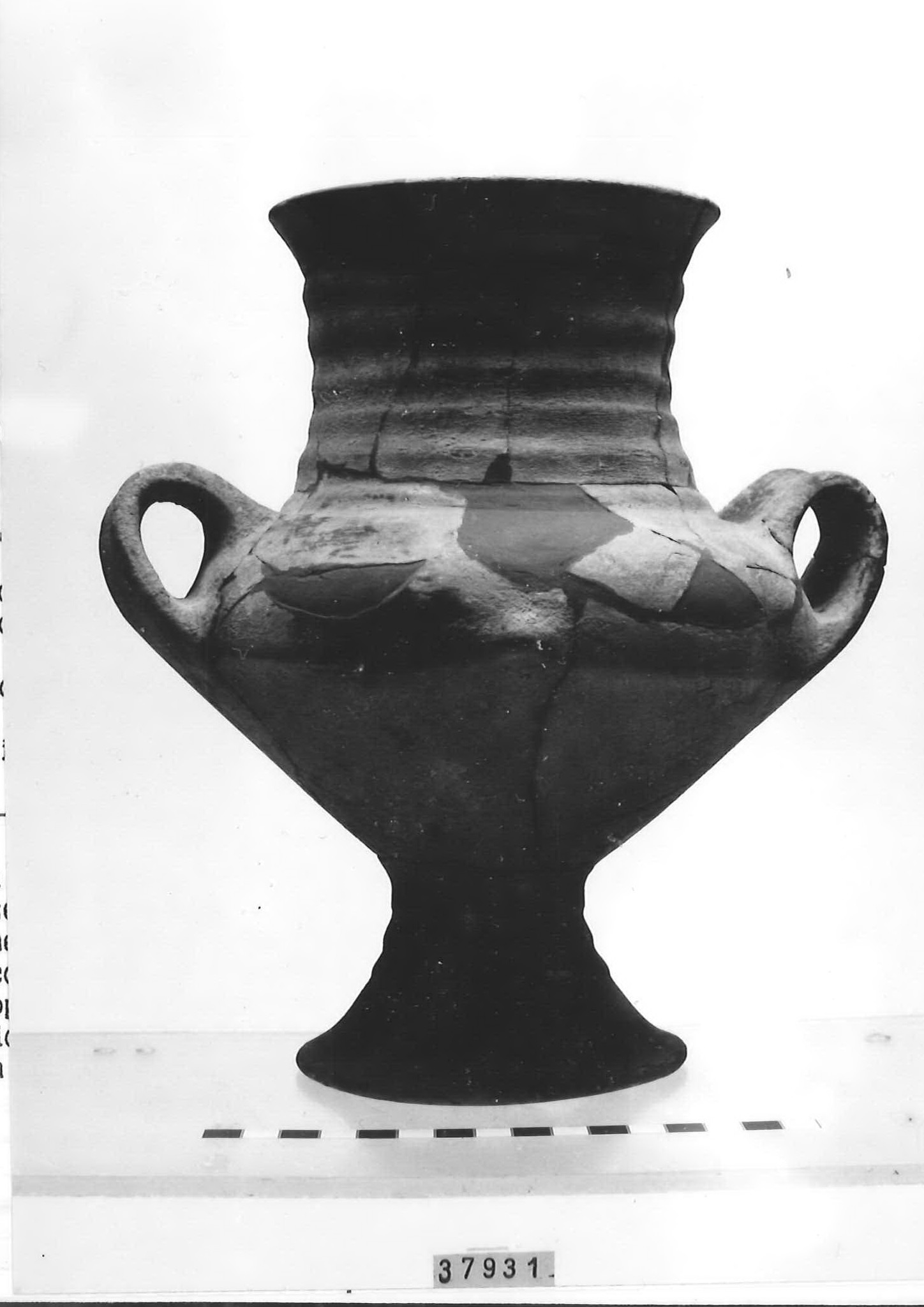 Anfora, tipo "Moie" - Piceno III (inizio secc. VII-VI a.C)