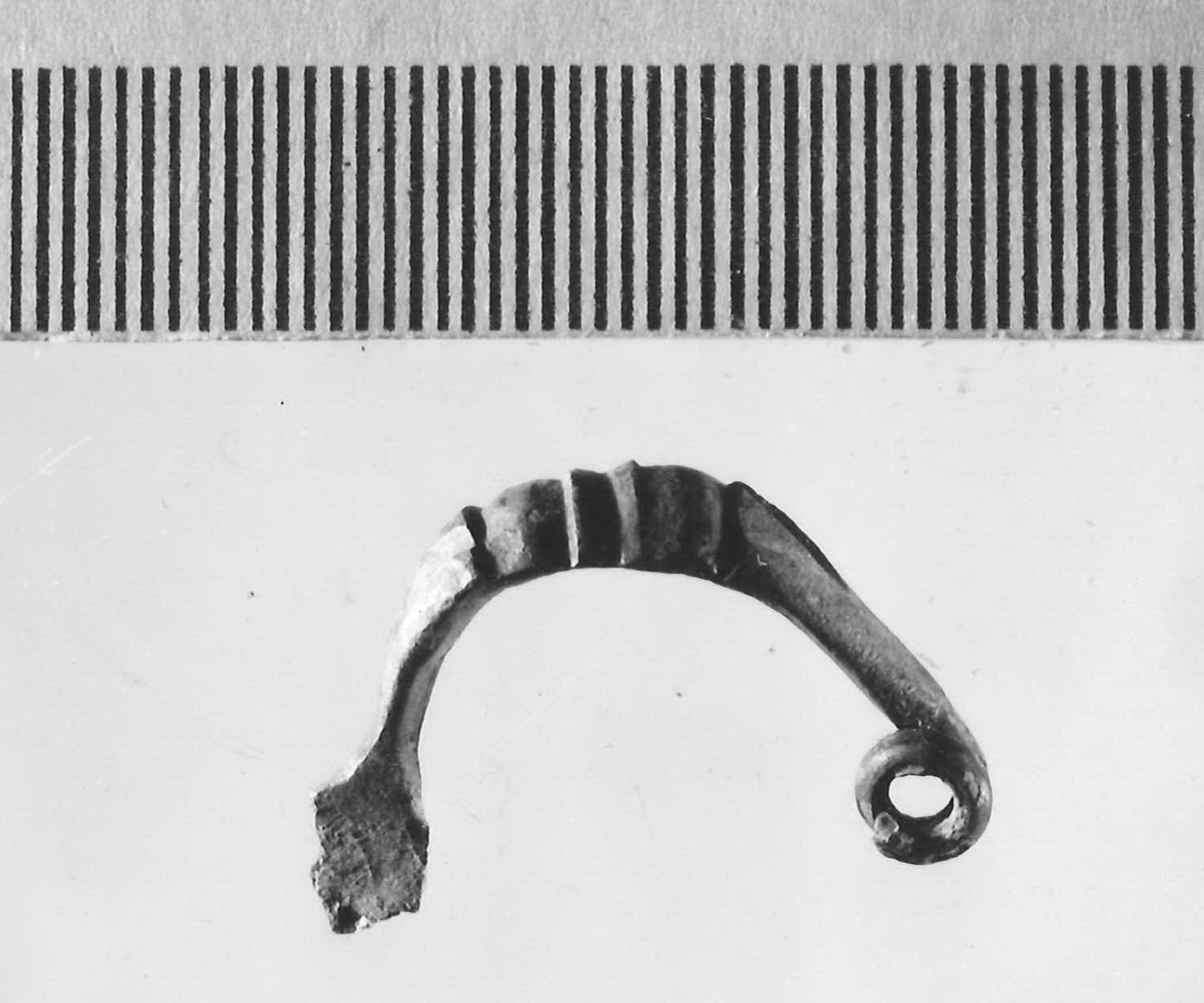 fibula - Piceno III (inizio secc. VII-VI a.C)