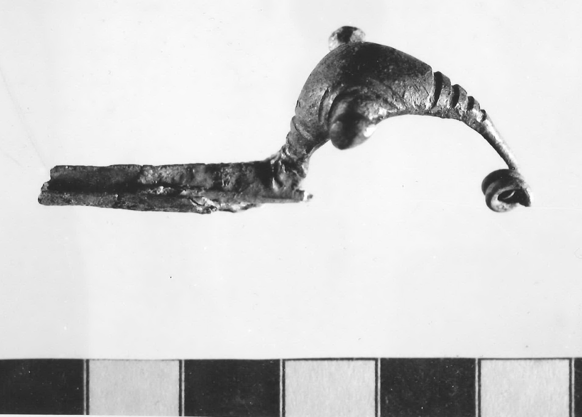 Fibula a dur bottoni - Piceno III (inizio secc. VII-VI a.C)